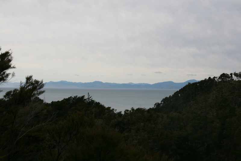 Nieuw-Zeeland 2011 - 1035